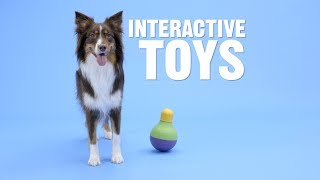 Interactive Dog Toys: Which One Is Right for Your Dog? | Chewy