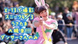 再アップロードです！2倍速で見てください【スニーク 】うさたま大脱走！！！本日4/3撮影