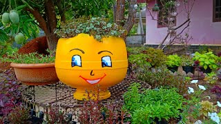 #mjohnzmedia #miltonjohn പഴയകുടങ്ങൾ കളയാൻ വരട്ടെ😄| Garden idea