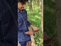 വരാലിനെ പിടിക്കാൻ ഇത്ര simple ആയിരുന്നോ 🙄 shorts short kerala fishing viral