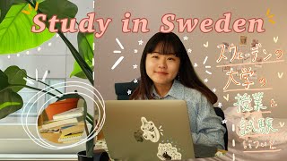 [北欧暮らし]留学Vlog#61「スウェーデンの大学の授業・試験について🇸🇪✏️」日本と違うところがたくさん✨🗒