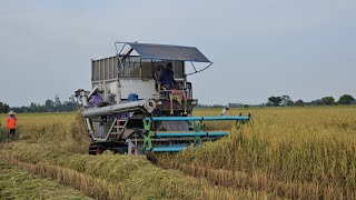 รถเกี่ยวข้าวพรกินรีเกี่ยวดีไม่มีสะดุด