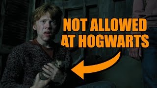 Why Ron is allowed to bring Scabbers to Hogwarts