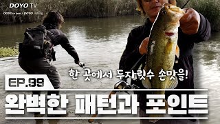 [도요TV ep.99] 완벽한 패턴 + 완벽한 포인트 = 배스 파티!