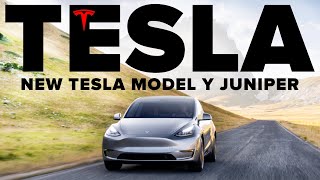 NEW Tesla Model Y LEAKED | Will It Be Too Late?