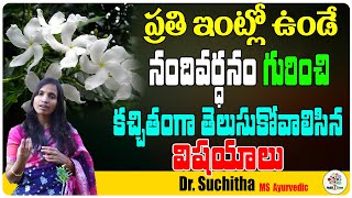 నందివర్ధనం గురించి తెలుసుకోవాలిసిన విషయాలు | Facts About Nandivardhanam | Dr. Suchitha | Health Tree