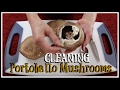 How to clean Portobello Mushrooms