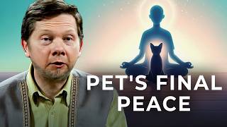 Is Euthanizing My Pet the Compassionate Choice? | Eckhart Tolle