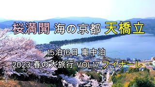 満開の桜#天橋立 #笠松公園 15泊16日車中泊の旅　2023春の大旅行 完結編 VOL17