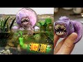 ALIEN MONSTER TADPOLES in Toxic Waste Pond, Diorama, Resin, Polymer clay