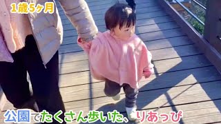 【1歳5ヶ月】公園でたくさん歩いた、りあっぴ【りあっぴ 成長記録】