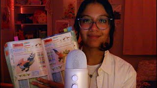 ⊹ ࣪ ˖ASMR Helping the Professor Decide Starters for the New Region!⊹ ࣪ ˖