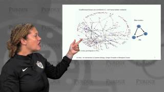 nanoHUB-U Biodesign L3.5: Gene Circuits - Feed Forward Loops I