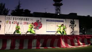 カザミドリ　2012　丸亀ばさら祭り