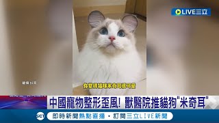 畸形審美害慘毛小孩! 中國寵物整形歪風 獸醫院推貓狗\