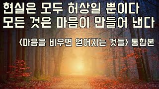 마음을 비우면 얻어지는 것들: 비울수록 내가 찾는 답이 저절로 드러난다, 김상운