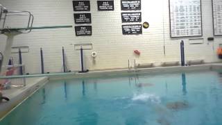 Desiree Kline - 201B - Back Dive Pike