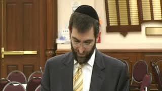 Rabbi Mordechai Kraft - The Torah At Har Sinai