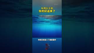 从现在开始你的好运来了！#曾仕强教授 #曾老智慧 #曾老经典语录 #智慧人生 #国学文化