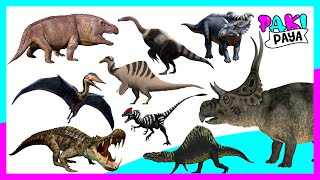 ¡ANIMALES PREHISTÓRICOS! PARTE 4 - Prehistoric Sea Animals - T-rex - Dinosaurios