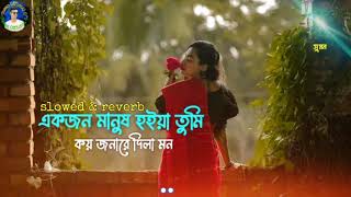 ওরে একজন মানুষ হইয়া তুমি কয় জনারে দিলাউ মন| slowed reverb | বাংলা মনোরম গান |