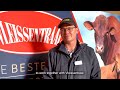 landbouweekliks seisoen 18 episode 12 wilhelmus van der schyff schyff beefmasters