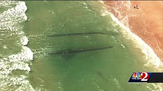 Archeologists investigate shipwreck uncovered in Volusia County