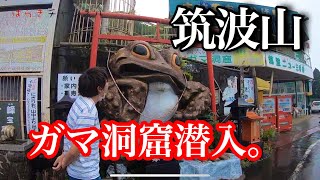 筑波山、ガマランドに潜入してみた。