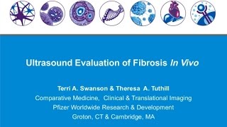 Quantification of Fibrosis