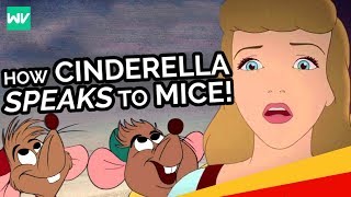 Why Can Cinderella Understand The Mice?: Discovering Disney Theory