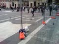 piccioni a milano... solo innocui volatili