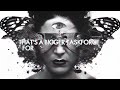 insideinfo metamorphosis feat. miss trouble lyric video