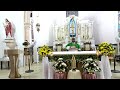 votive shrine sunday live stream october 06 2024 sunday 7 00 am english mass