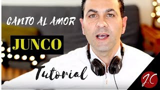 CANTO AL AMOR DE JUNCO, TUTORIAL. Jeronimo de Carmen-Guitarra-Flamenca CANTO AL AMOR DE JUNCO, TUTORIAL. Jeronimo de Carmen-Guitarra-Flamenca