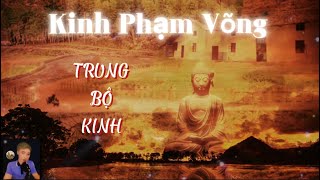 Kinh Trường  Bộ/Phạm Võng Kinh