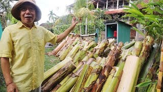 バリ島産バナナで作る手すきの紙　口コミで世界に広がる