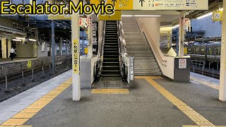 【VXシリーズ】JR米原駅の５・６番乗り場ホームの日立エスカレーター