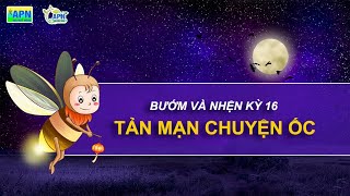 APN - BƯỚM VÀ NHỆN KỲ 16 - TẢN MẠN CHUYỆN ỐC #anphatnong #ocbuuvang