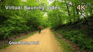 Experience the Thrill of Trail Running in the USA - Virtual Running Video