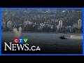 Video shows jet skier striking grey whale