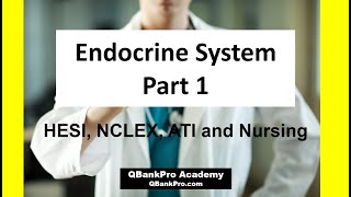 Endocrine System Nursing, Anatomy and Physiology, Medical Surgical Nursing Lecture | QBankPro