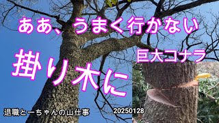 うまく行かなかった作業の様子です。まあ、致命的な失敗という程でも無いので、ためらいつつUPします。ご笑覧ください。