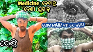 ଭେଣ୍ଡି ପୋକ ଲାଗିଛି ଦେଶୀ ଯୁଗାଡ୍ || LadyFinger Insecticide ‼️