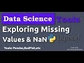 Exploring Missing Values In Python with Pandas and Badfish [ Data Science Tools ]