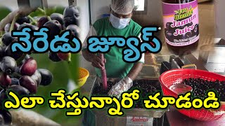 అల్ల నేరేడు జ్యూస్ యూనిట్ | Jamun Juice Processing  and Making Unit | నేరేడు జ్యూస్ తయారీ విధానం |