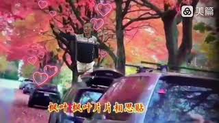 2022 10 枫叶之恋  翻唱 视频制作 李柏宇 温哥华老年华人协会 Maple leaf 's Love song SCSV