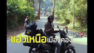 Teaser :แอ่วเหนือ เมืองคอง หมอกสวย วิวดอยหลวงเชียงดาว #เมืองคอง #roadtrip #เชียงใหม่