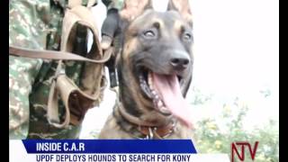 Inside C.A.R : UPDF deploys hounds to search for Kony