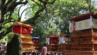 西条祭り　令和元年ＧＷ　天皇陛下御即位　奉祝奉納