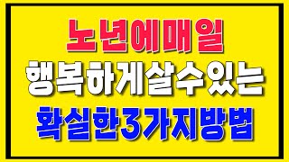 노년에 이렇게 하면 매일 행복하게 살수 있습니다/노년을당당하고행복하게